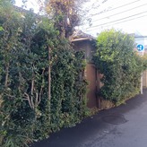 豊島区　Ｔ様邸